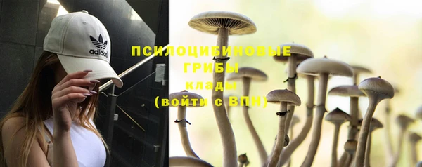 эйфоретик Армянск