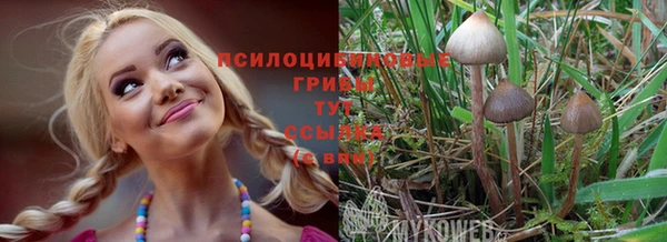 ГАЛЛЮЦИНОГЕННЫЕ ГРИБЫ Аркадак