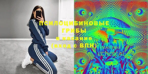 эйфоретик Тында