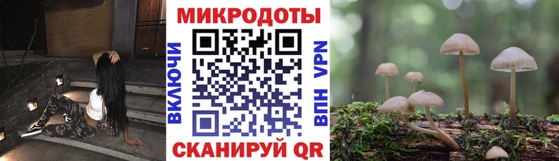 Псилоцибиновые грибы Psilocybine cubensis Купить Болхов